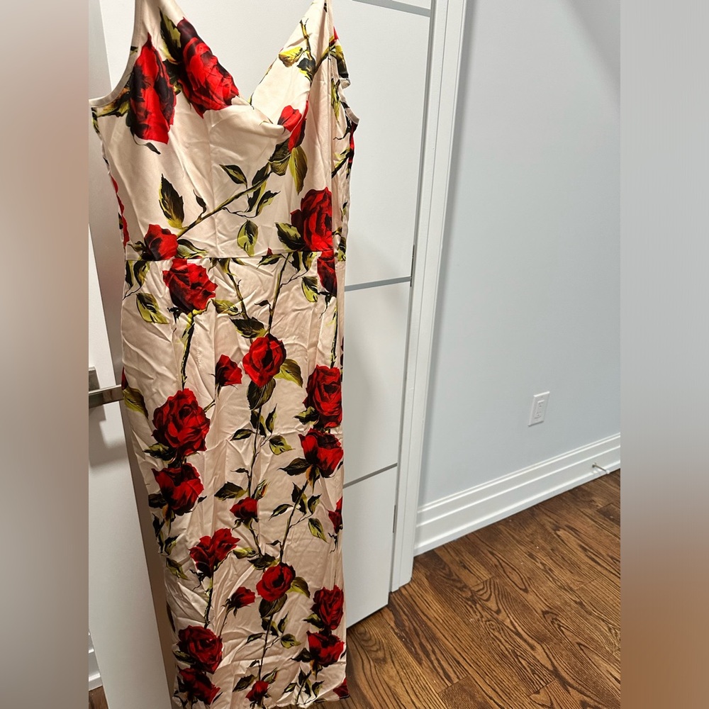 Cider Rose Dress